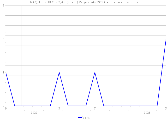 RAQUEL RUBIO ROJAS (Spain) Page visits 2024 