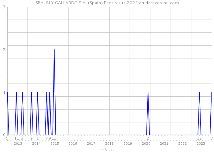 BRAUN Y GALLARDO S.A. (Spain) Page visits 2024 