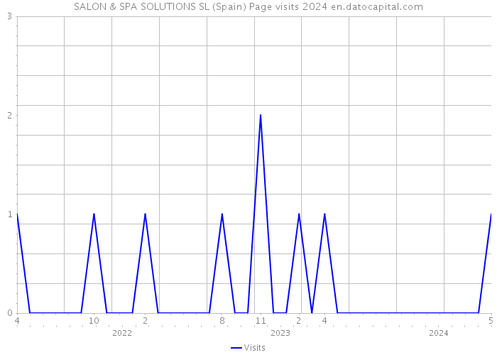 SALON & SPA SOLUTIONS SL (Spain) Page visits 2024 