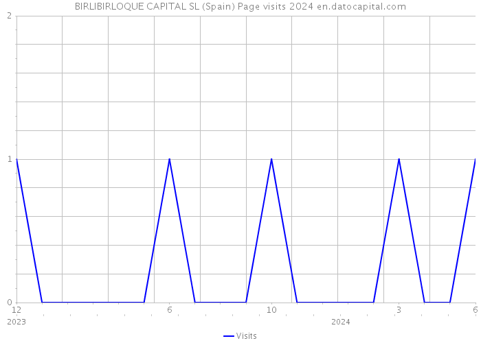 BIRLIBIRLOQUE CAPITAL SL (Spain) Page visits 2024 