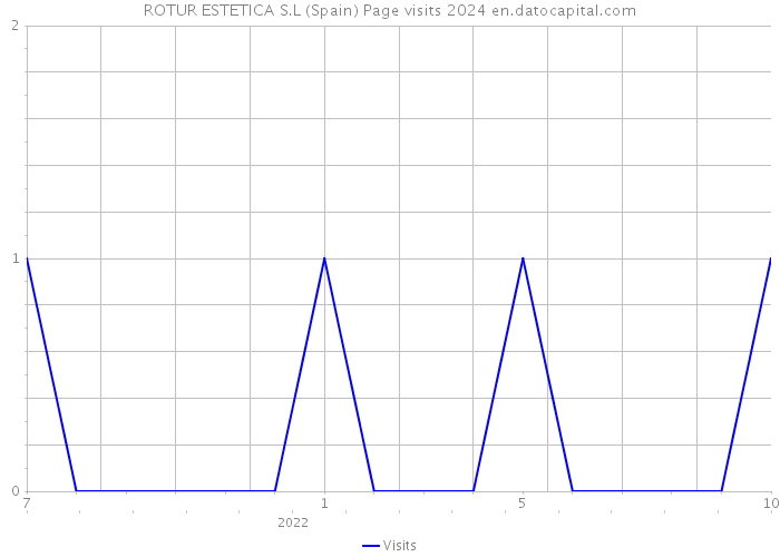 ROTUR ESTETICA S.L (Spain) Page visits 2024 
