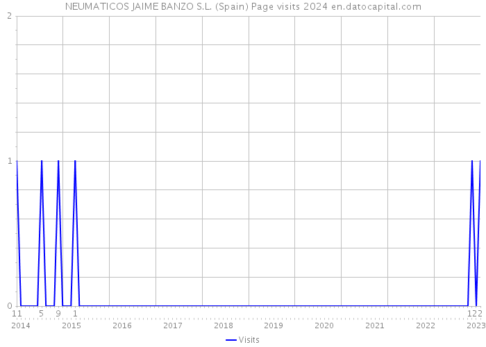 NEUMATICOS JAIME BANZO S.L. (Spain) Page visits 2024 