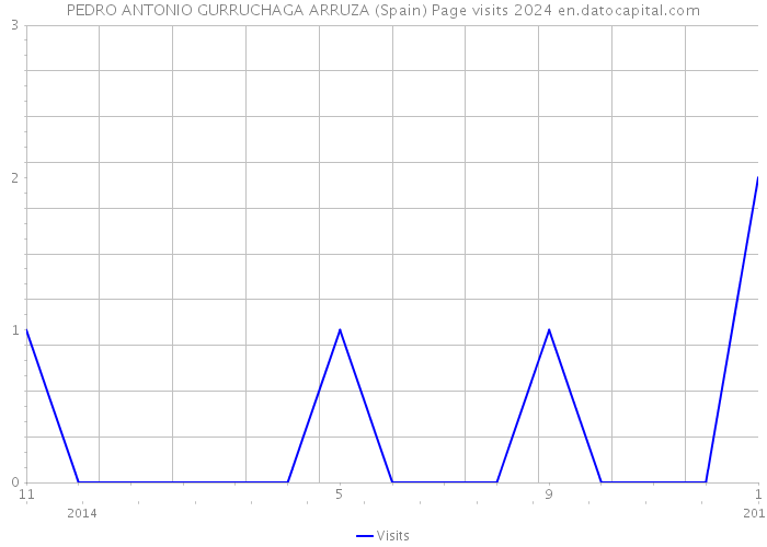 PEDRO ANTONIO GURRUCHAGA ARRUZA (Spain) Page visits 2024 