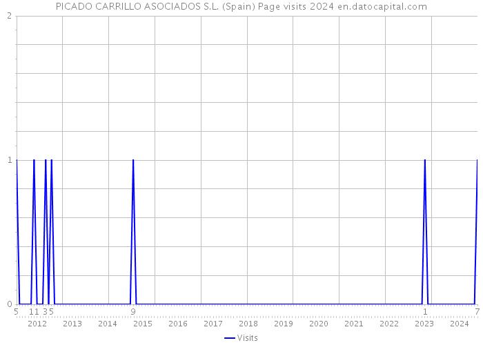 PICADO CARRILLO ASOCIADOS S.L. (Spain) Page visits 2024 