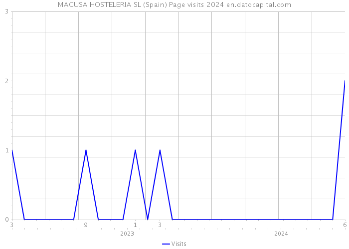 MACUSA HOSTELERIA SL (Spain) Page visits 2024 
