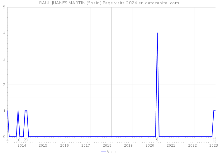 RAUL JUANES MARTIN (Spain) Page visits 2024 