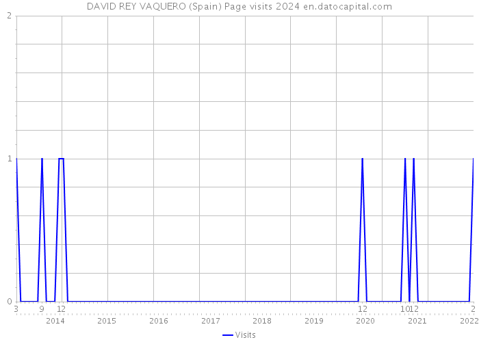 DAVID REY VAQUERO (Spain) Page visits 2024 