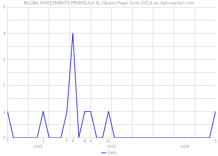 BILOBA INVESTMENTS PENINSULA SL (Spain) Page visits 2024 