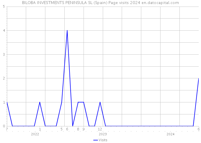 BILOBA INVESTMENTS PENINSULA SL (Spain) Page visits 2024 