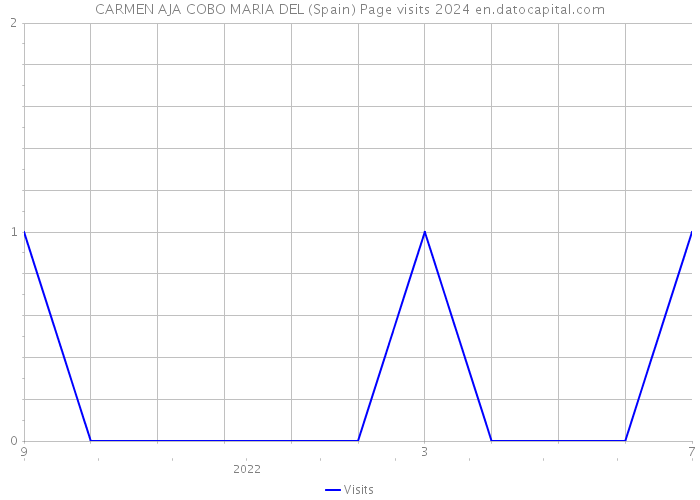 CARMEN AJA COBO MARIA DEL (Spain) Page visits 2024 