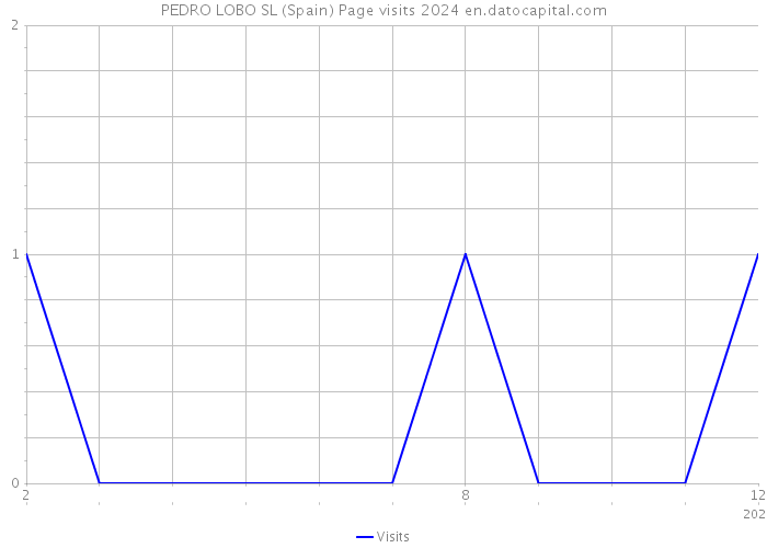 PEDRO LOBO SL (Spain) Page visits 2024 