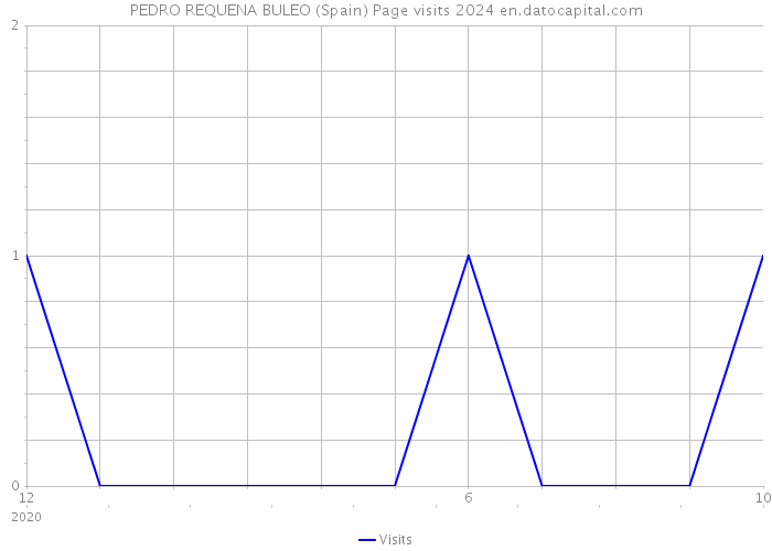 PEDRO REQUENA BULEO (Spain) Page visits 2024 