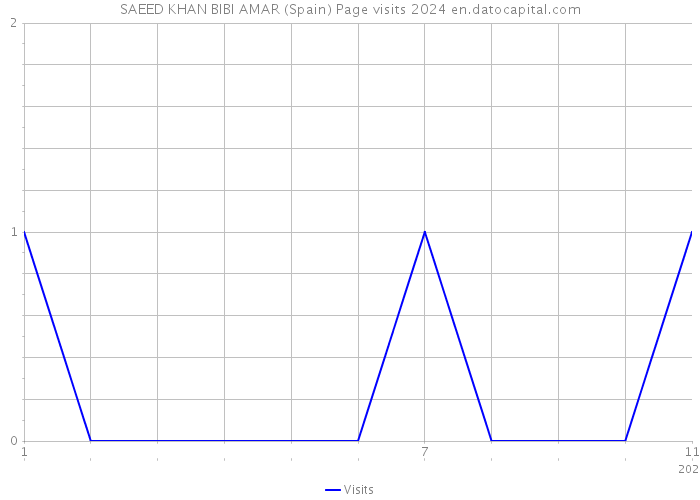 SAEED KHAN BIBI AMAR (Spain) Page visits 2024 