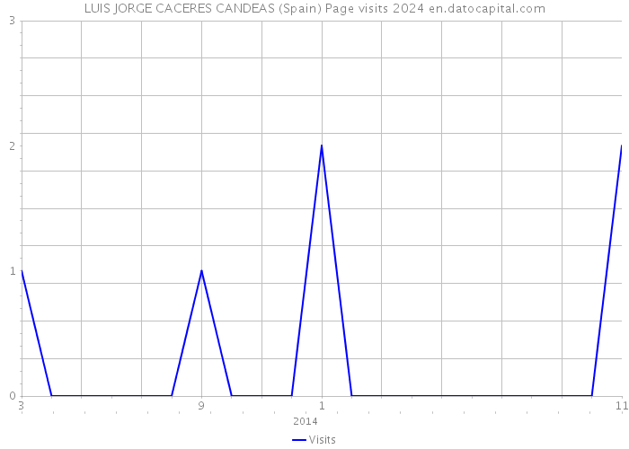 LUIS JORGE CACERES CANDEAS (Spain) Page visits 2024 