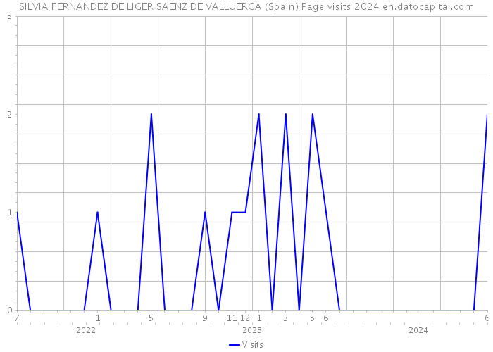 SILVIA FERNANDEZ DE LIGER SAENZ DE VALLUERCA (Spain) Page visits 2024 