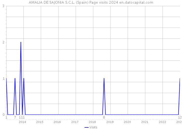 AMALIA DE SAJONIA S.C.L. (Spain) Page visits 2024 