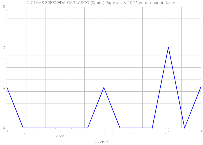 NICOLAS FRESNEDA CARRASCO (Spain) Page visits 2024 