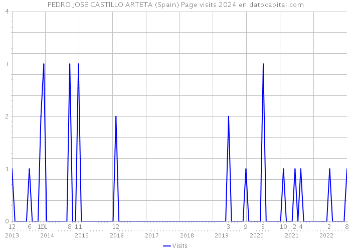 PEDRO JOSE CASTILLO ARTETA (Spain) Page visits 2024 