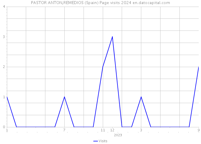 PASTOR ANTON,REMEDIOS (Spain) Page visits 2024 