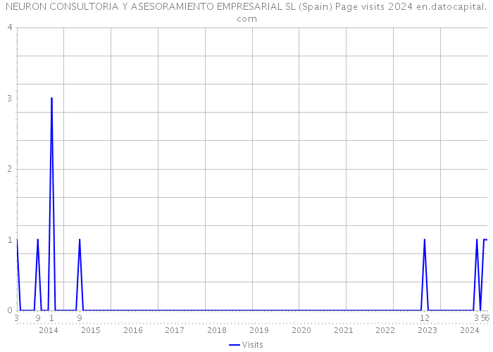 NEURON CONSULTORIA Y ASESORAMIENTO EMPRESARIAL SL (Spain) Page visits 2024 