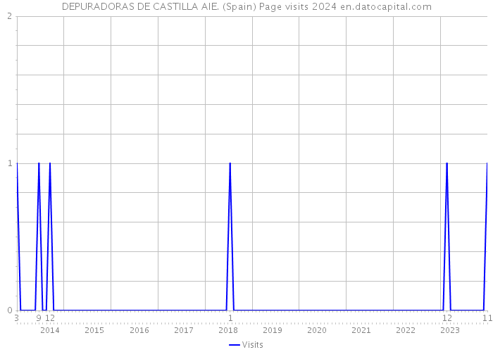 DEPURADORAS DE CASTILLA AIE. (Spain) Page visits 2024 