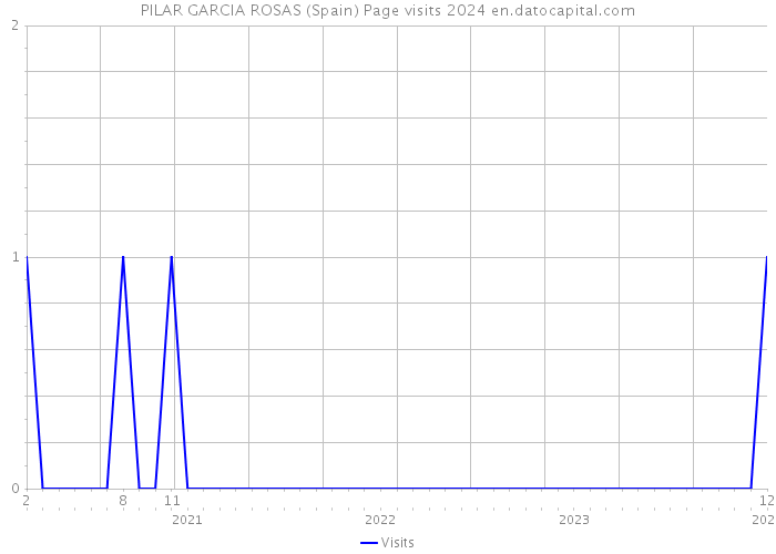 PILAR GARCIA ROSAS (Spain) Page visits 2024 