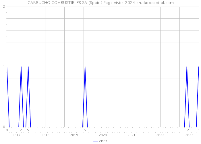 GARRUCHO COMBUSTIBLES SA (Spain) Page visits 2024 