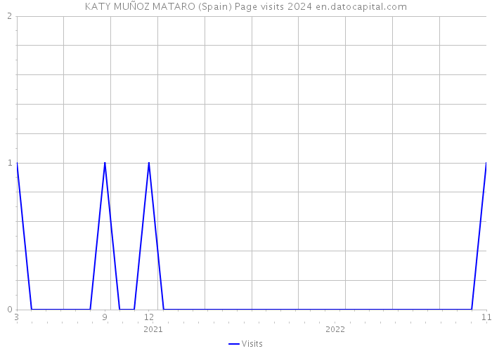 KATY MUÑOZ MATARO (Spain) Page visits 2024 