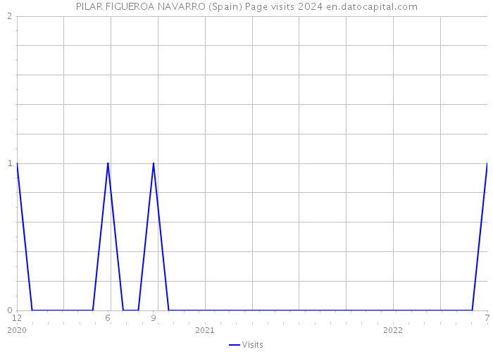 PILAR FIGUEROA NAVARRO (Spain) Page visits 2024 