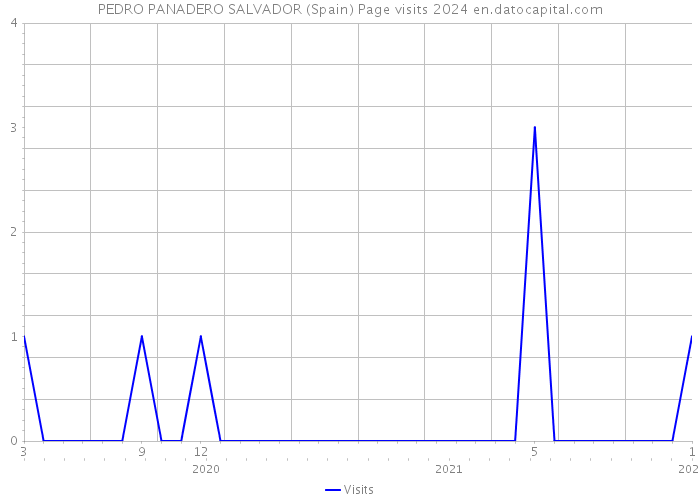 PEDRO PANADERO SALVADOR (Spain) Page visits 2024 