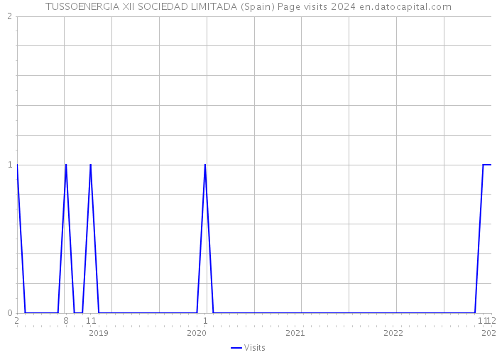 TUSSOENERGIA XII SOCIEDAD LIMITADA (Spain) Page visits 2024 