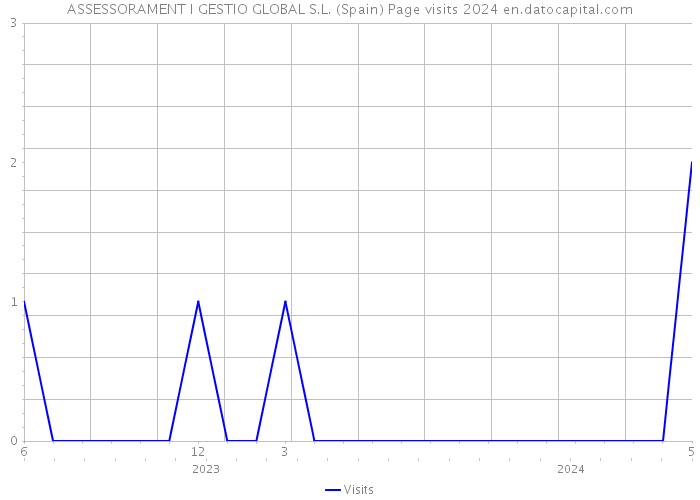 ASSESSORAMENT I GESTIO GLOBAL S.L. (Spain) Page visits 2024 