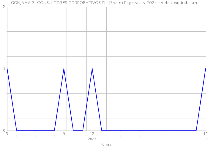 GONJAMA 3, CONSULTORES CORPORATIVOS SL. (Spain) Page visits 2024 