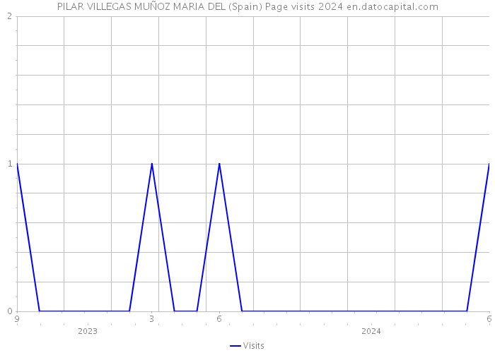 PILAR VILLEGAS MUÑOZ MARIA DEL (Spain) Page visits 2024 