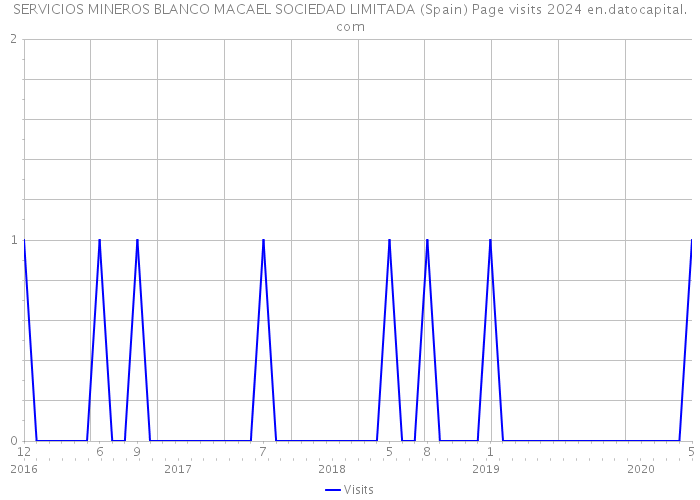 SERVICIOS MINEROS BLANCO MACAEL SOCIEDAD LIMITADA (Spain) Page visits 2024 