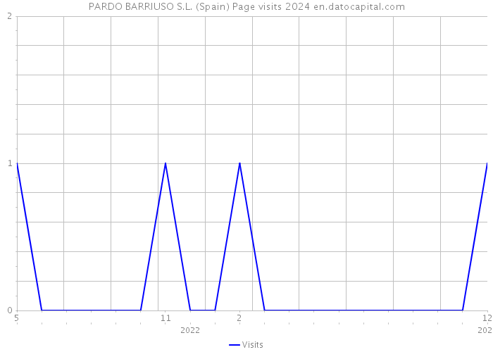 PARDO BARRIUSO S.L. (Spain) Page visits 2024 