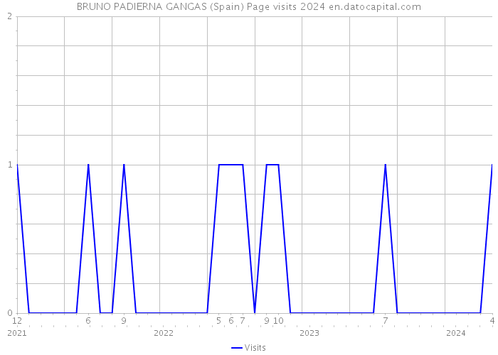BRUNO PADIERNA GANGAS (Spain) Page visits 2024 