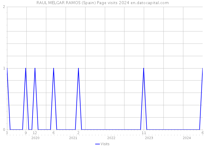 RAUL MELGAR RAMOS (Spain) Page visits 2024 