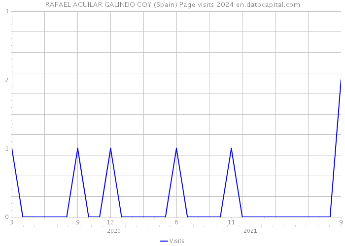 RAFAEL AGUILAR GALINDO COY (Spain) Page visits 2024 