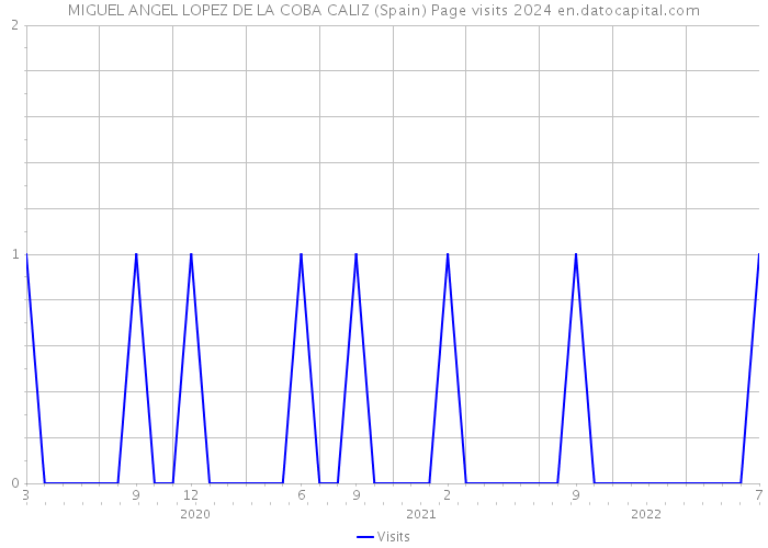 MIGUEL ANGEL LOPEZ DE LA COBA CALIZ (Spain) Page visits 2024 