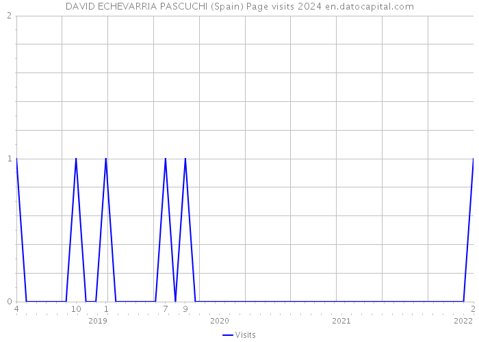 DAVID ECHEVARRIA PASCUCHI (Spain) Page visits 2024 