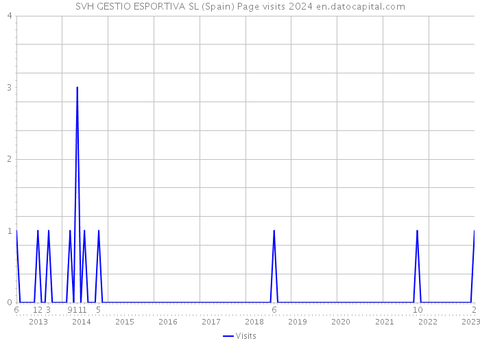 SVH GESTIO ESPORTIVA SL (Spain) Page visits 2024 