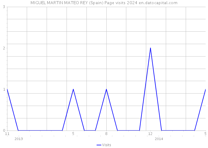 MIGUEL MARTIN MATEO REY (Spain) Page visits 2024 