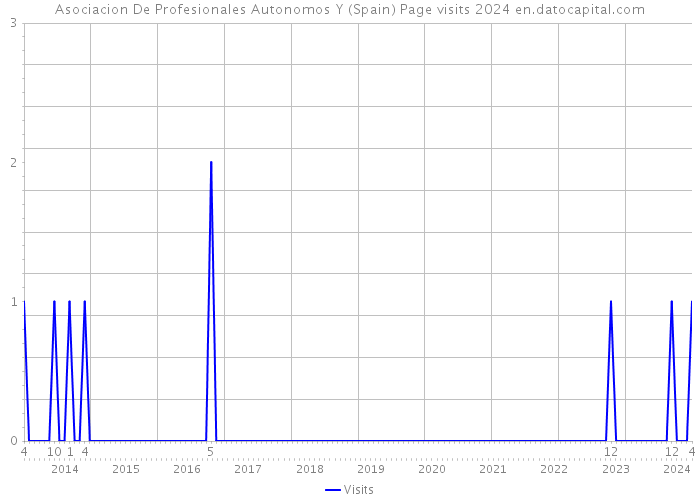 Asociacion De Profesionales Autonomos Y (Spain) Page visits 2024 