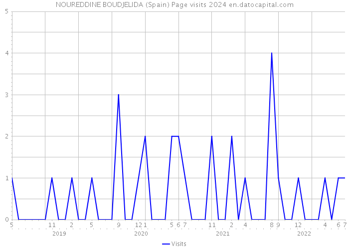 NOUREDDINE BOUDJELIDA (Spain) Page visits 2024 