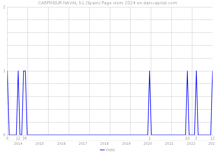 CARPINSUR NAVAL S.L (Spain) Page visits 2024 