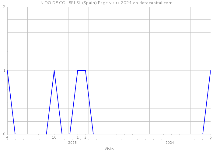 NIDO DE COLIBRI SL (Spain) Page visits 2024 