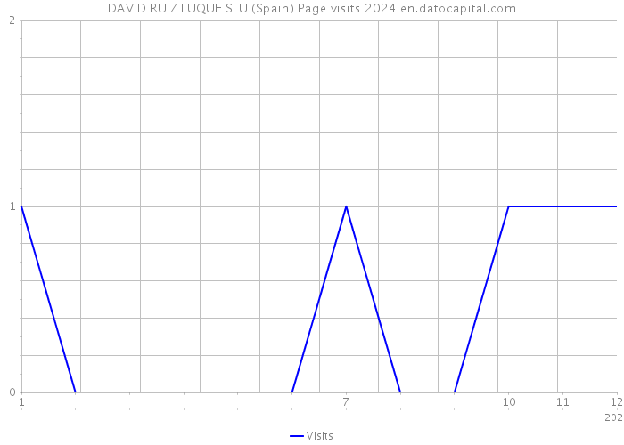 DAVID RUIZ LUQUE SLU (Spain) Page visits 2024 