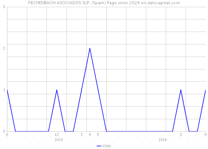 FECHENBACH ASOCIADOS SLP. (Spain) Page visits 2024 