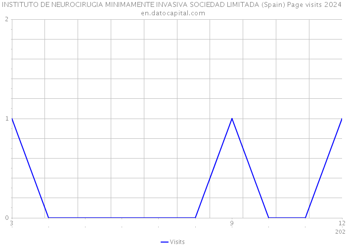 INSTITUTO DE NEUROCIRUGIA MINIMAMENTE INVASIVA SOCIEDAD LIMITADA (Spain) Page visits 2024 